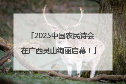2025中国农民诗会在广西灵山绚丽启幕！
